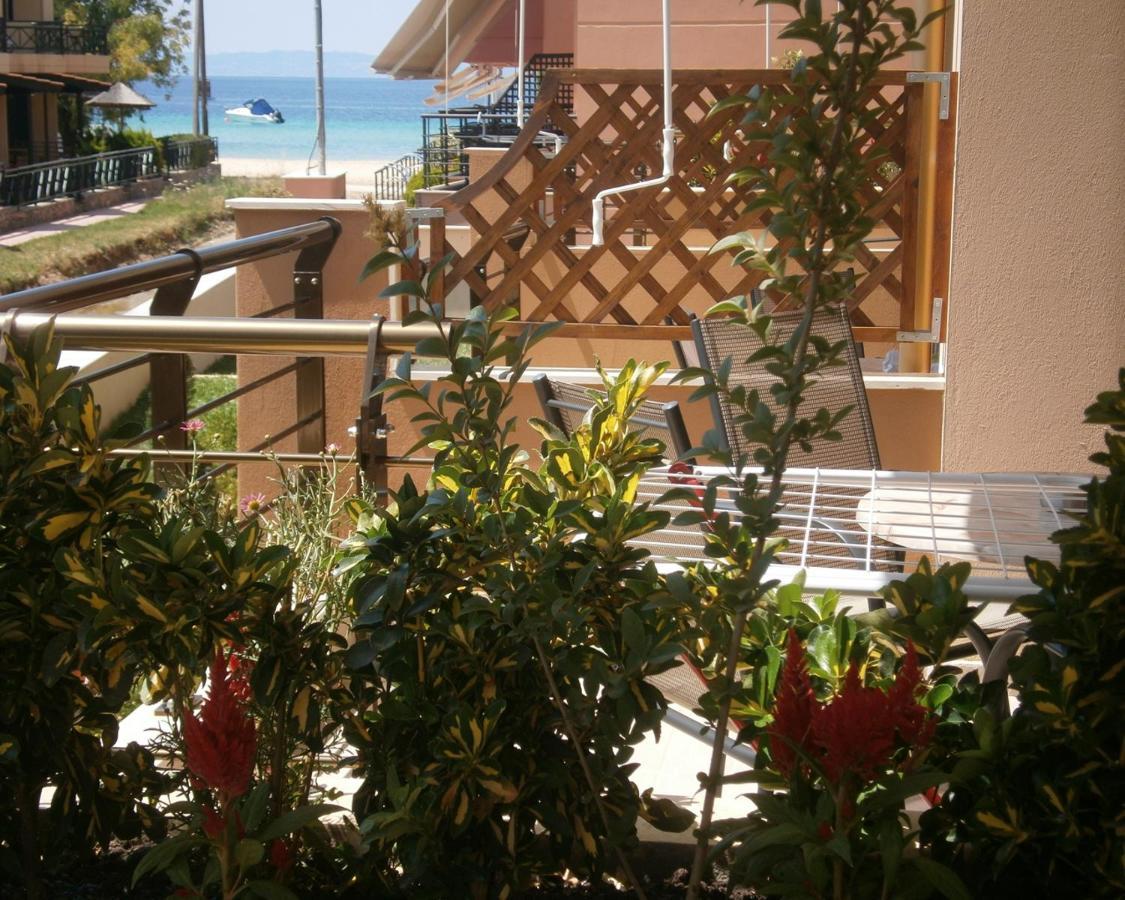 Dafni'S Seaside Luxury Studios Nikiti  Exteriér fotografie